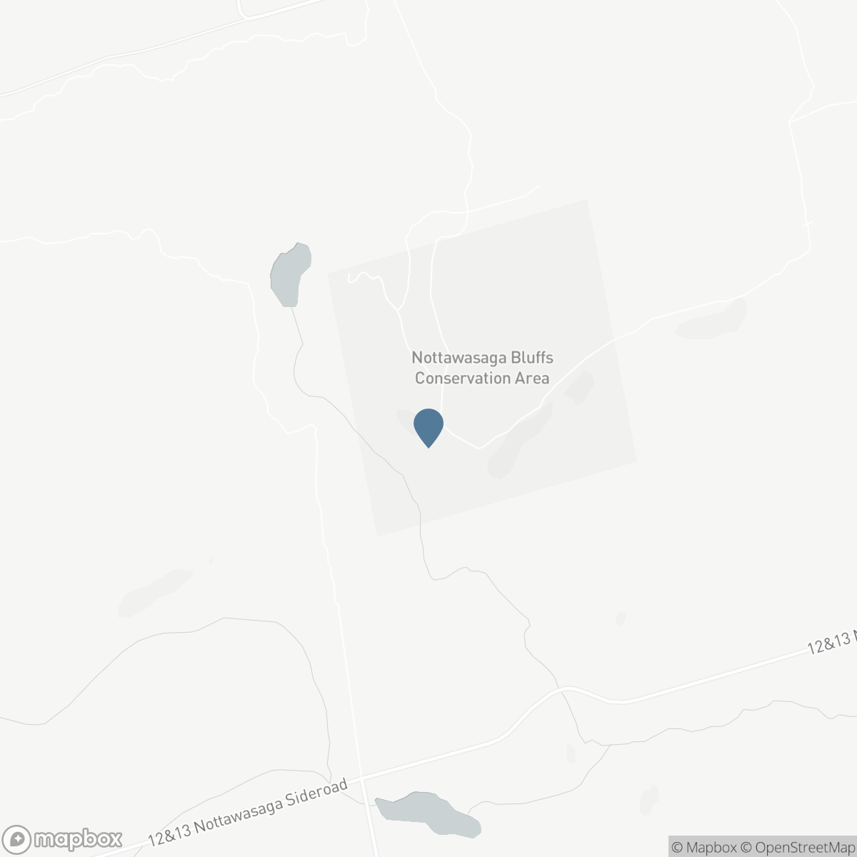 1614 NOTTAWASAGA CONCESSION RD 10, Duntroon, Ontario L0M 1H0